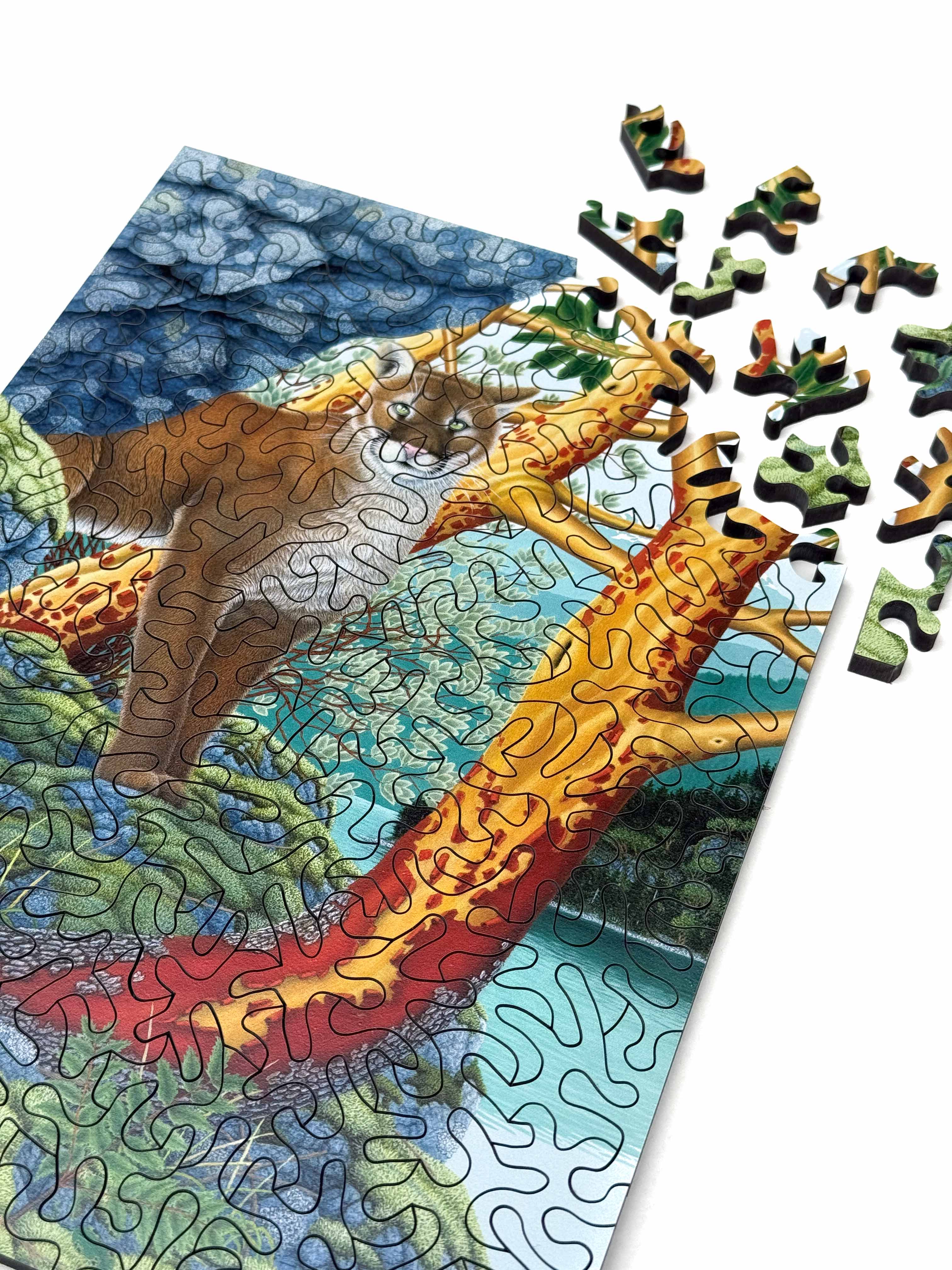 Quiet Paws Wood Jigsaw Puzzle